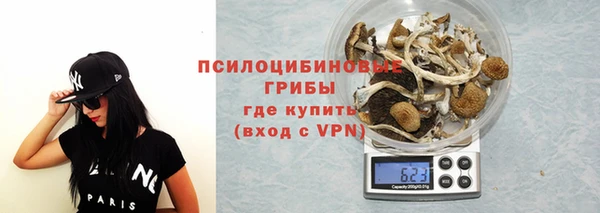 прущие крисы Белокуриха