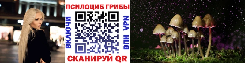Псилоцибиновые грибы Cubensis  МЕГА ТОР  Медвежьегорск 