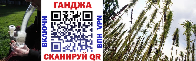 Каннабис сатива  Медвежьегорск 